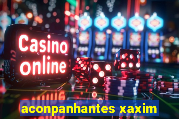 aconpanhantes xaxim
